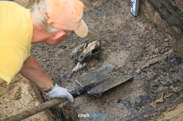 Археологическая романтика: репортаж с раскопок в Яльчикском районе